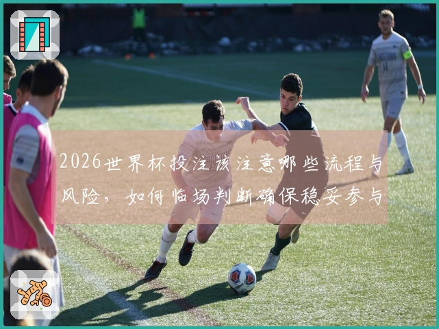 2026世界杯投注该注意哪些流程与风险,如何临场判断确保稳妥参与