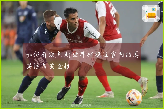 如何有效判断世界杯投注官网的真实性与安全性