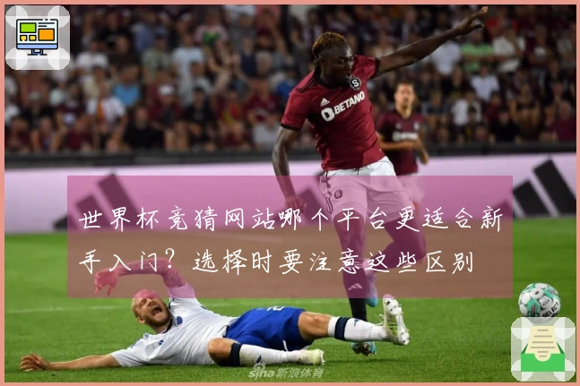 世界杯竞猜网站哪个平台更适合新手入门？选择时要注意这些区别