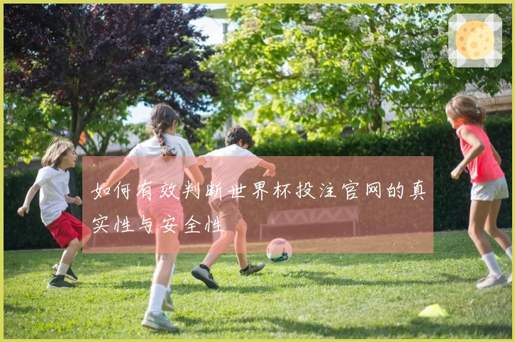 如何有效判断世界杯投注官网的真实性与安全性