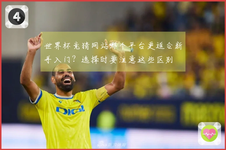 世界杯竞猜网站哪个平台更适合新手入门？选择时要注意这些区别